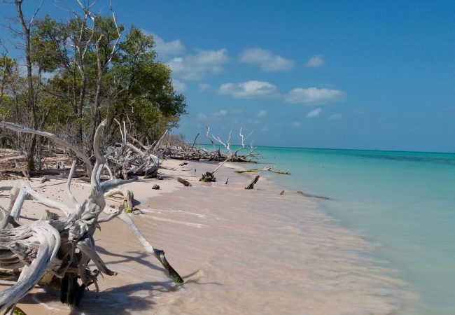 Cuba Cayo Jutias beach