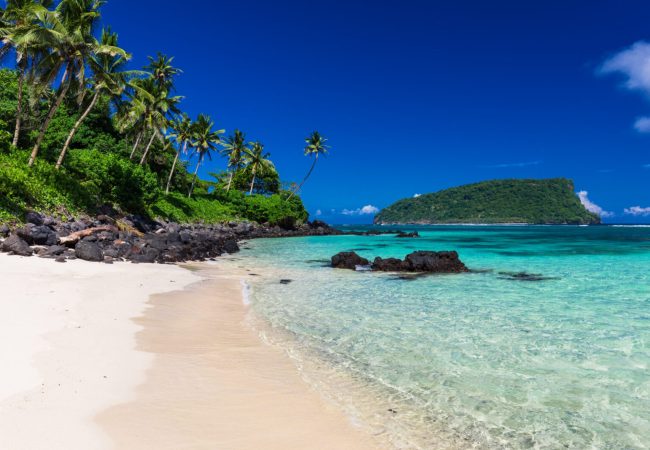 Vibrant tropical Lalomanu beach on Samoa Island with coconut palm trees